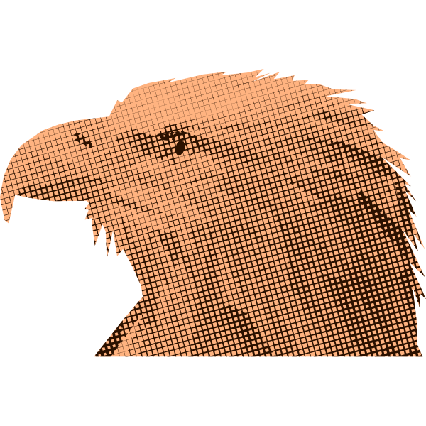 Eagle10