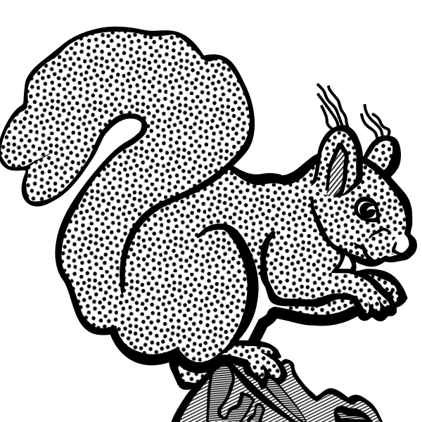 Coloring book squirrel