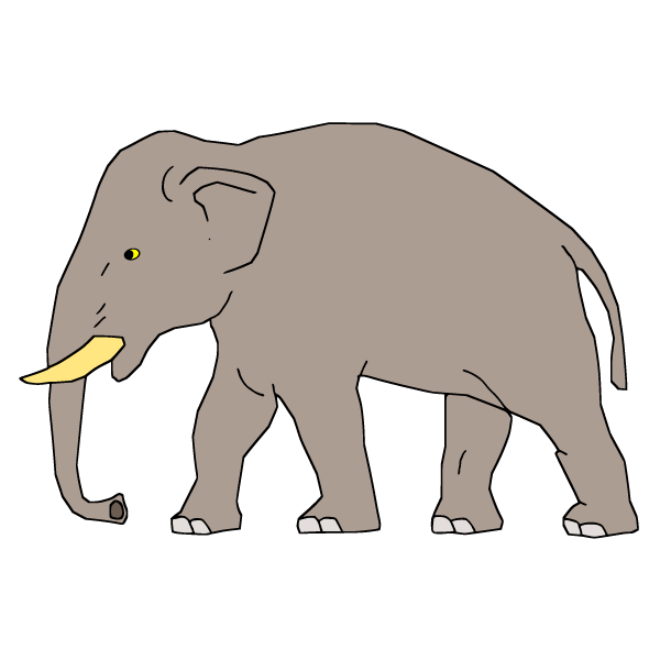 Elephant XXIII