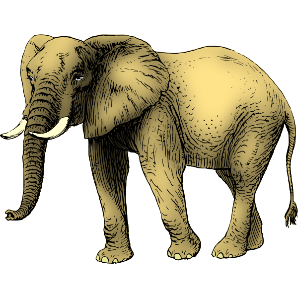 Free Free 196 Yellow Elephant Svg SVG PNG EPS DXF File