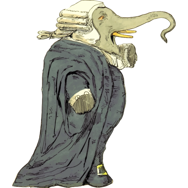 Elephant judge