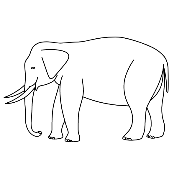 Elephant XXIX