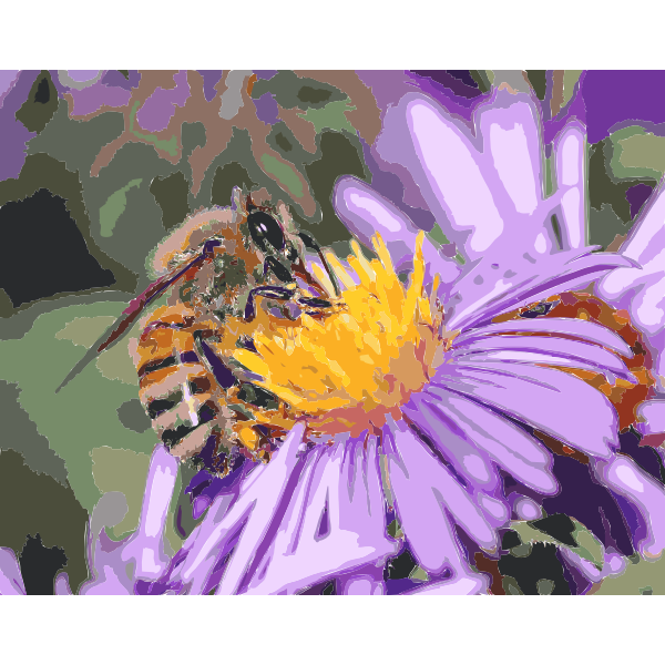 European honey bee extracts nectar 2016121820