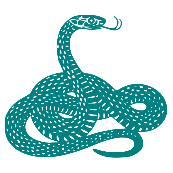 Evil old snake 3