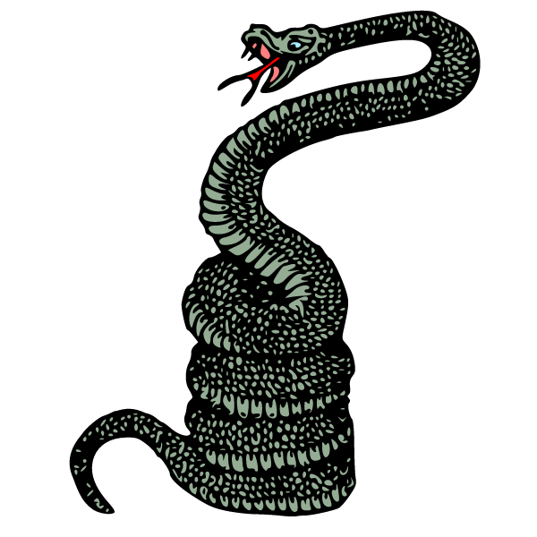 Evil old snake 5