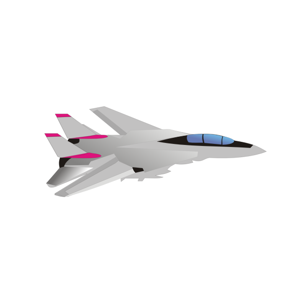 F 14 Tomcat PNG
