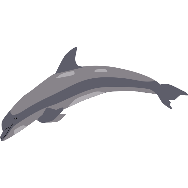 Download Dolphin In A Jump Free Svg