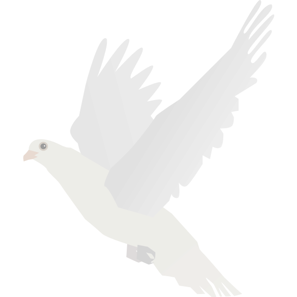 White Dove Svg
