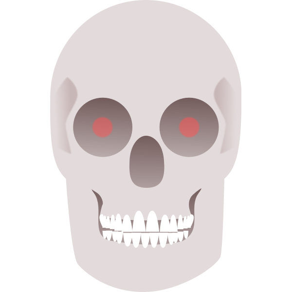 FX13 skull 2