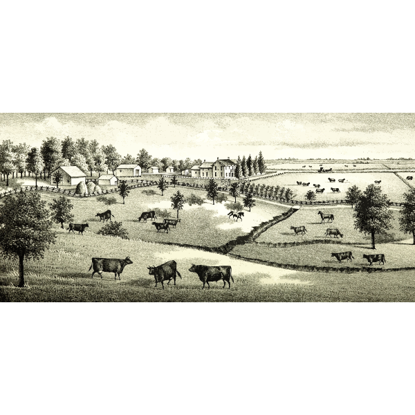 Farm scene image