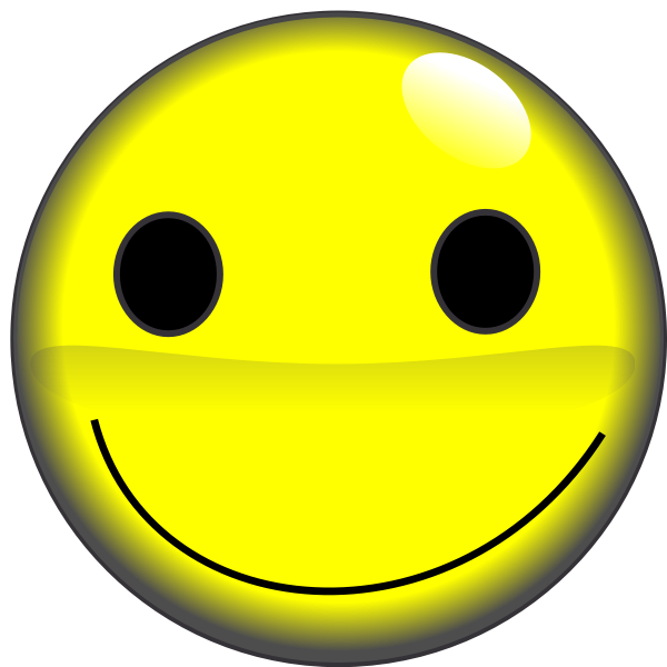 2D smiley face vector image