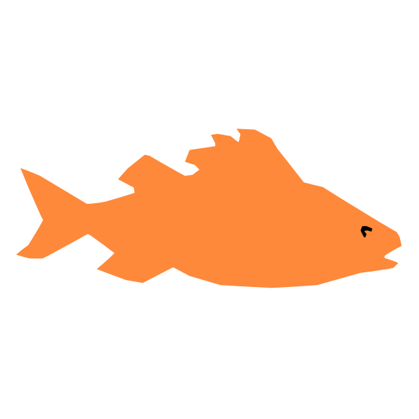 Orange fish image