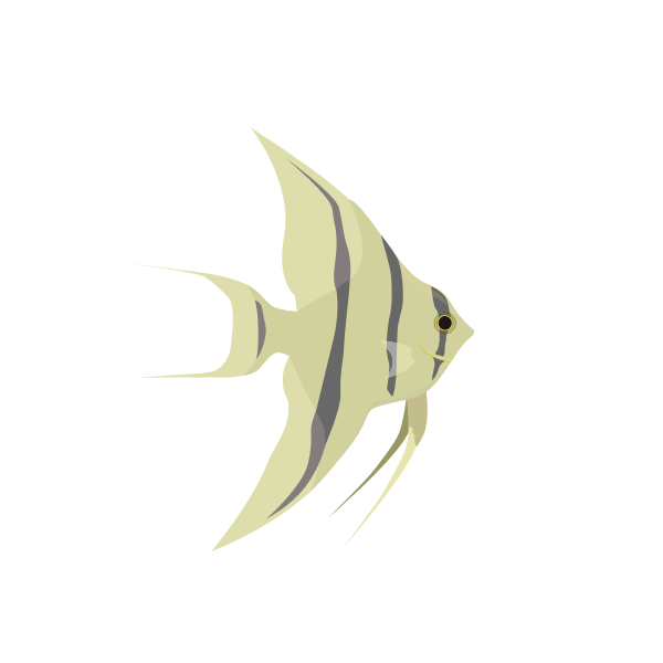 Fish Angelfish | Free SVG