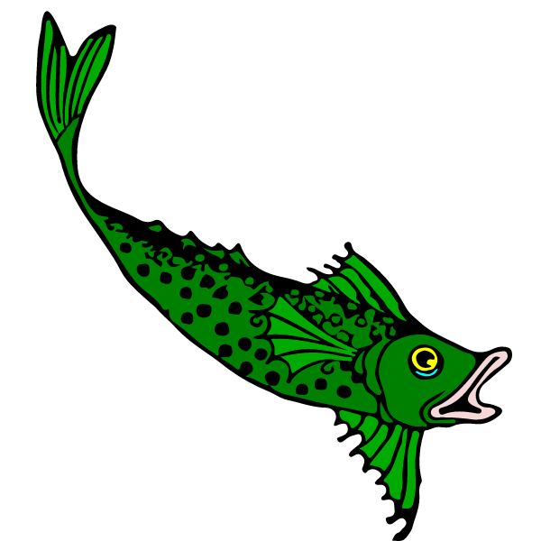 Fish 30