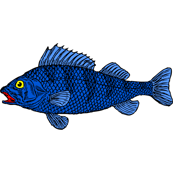 Fish 31