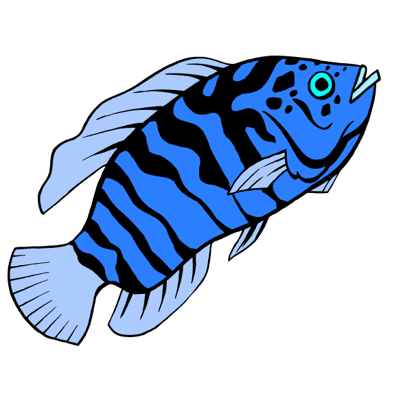 Fish 42
