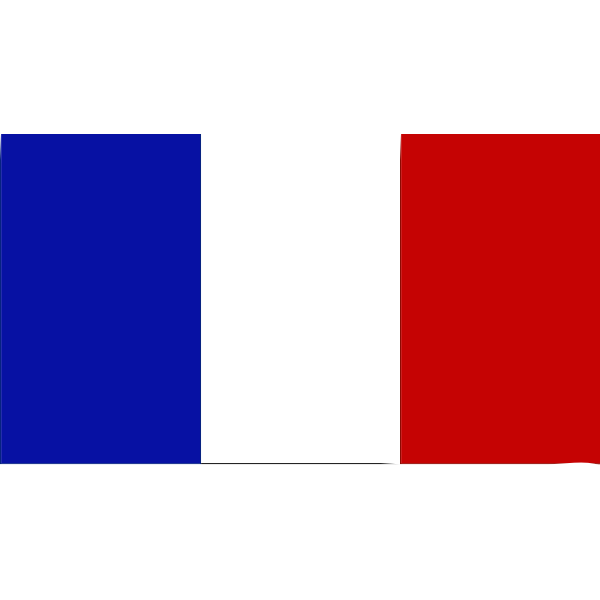 Flag of France 2016081244