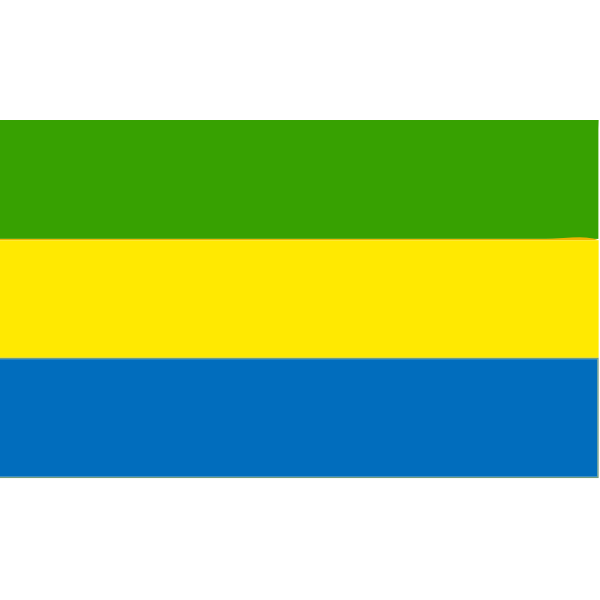 Flag of Gabon 2016081347