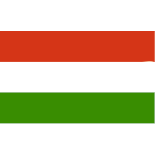 Flag of Hungary 2016081354