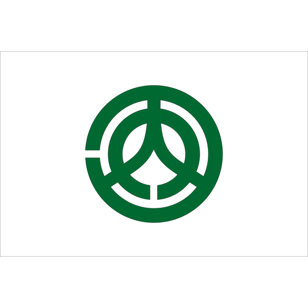 Flag of Kochi Hiroshima