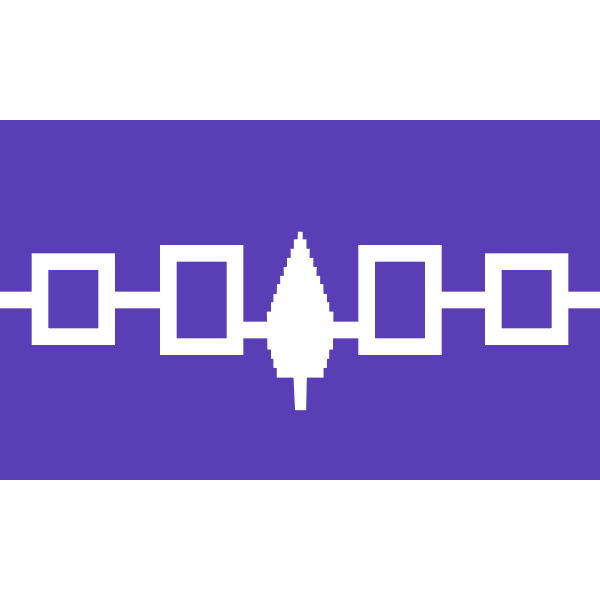 Iroquois Confederacy flag