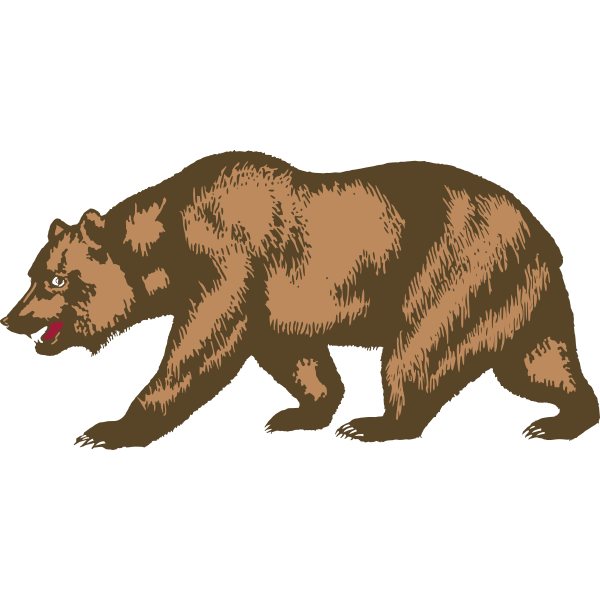Zoo bear vector image