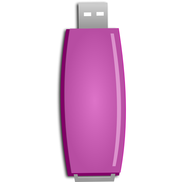 Pink flash drive vector image