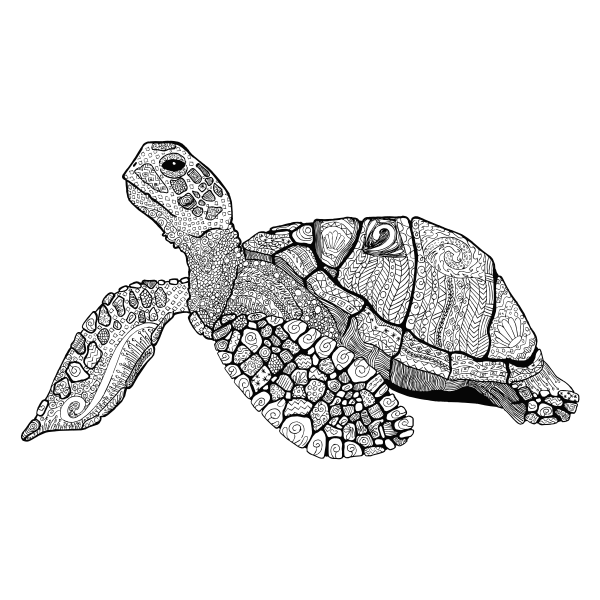 Download Floral Sea Turtle Line Monochrome Art Free Svg 3D SVG Files Ideas | SVG, Paper Crafts, SVG File