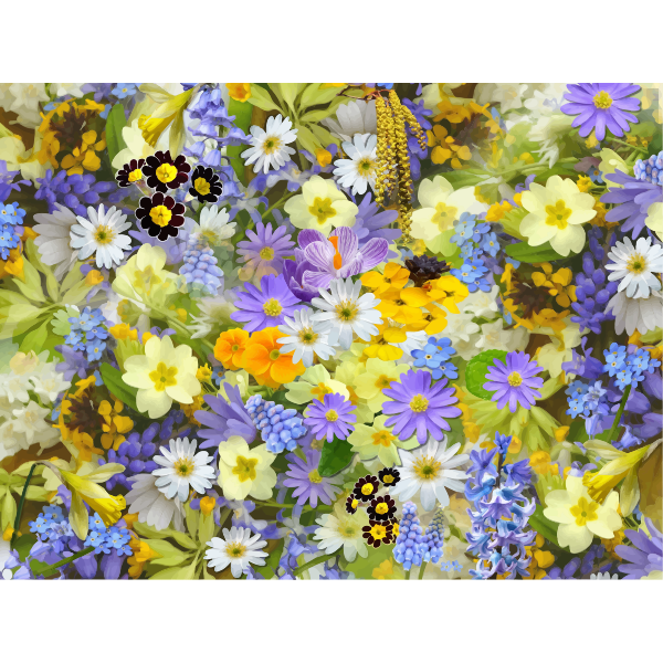 Colorful flowery background | Free SVG