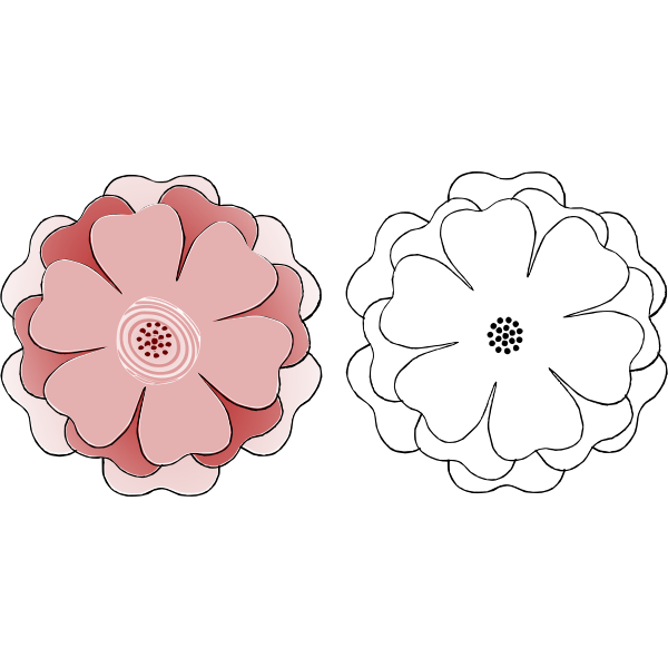 Two flowers
