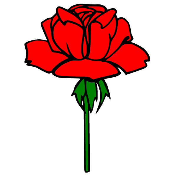 Flower 123