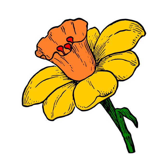 Flower 48