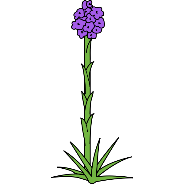 Flower60