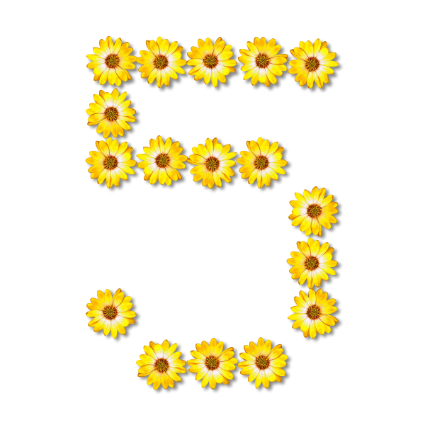 Floral number five