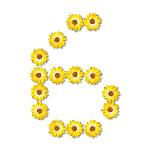 Floral number 6