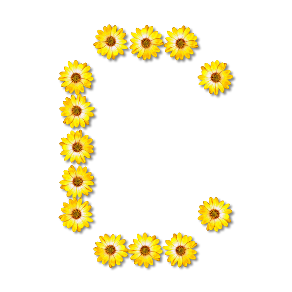 Flowery letter C