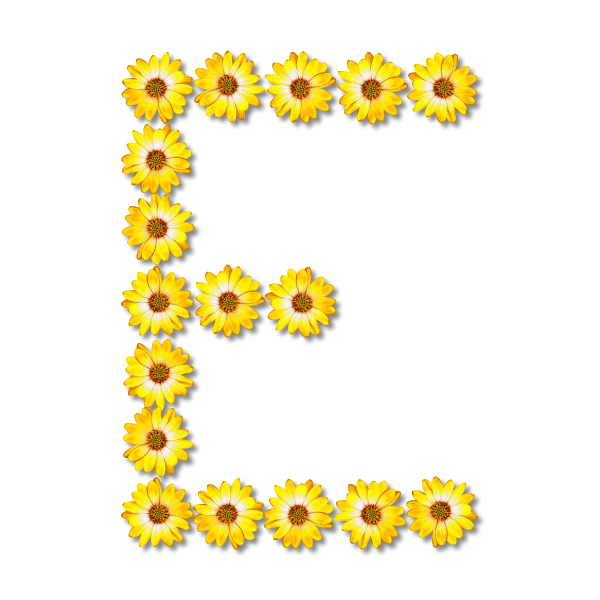 Floral letter E