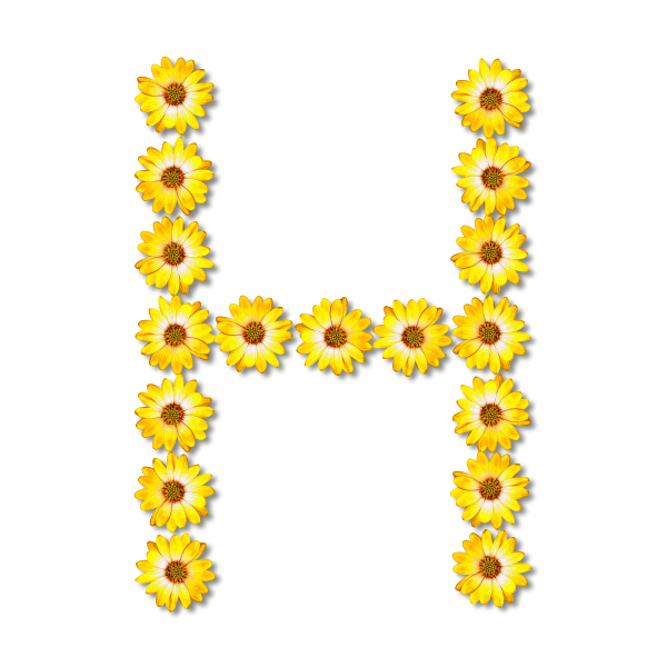 H made with flowers