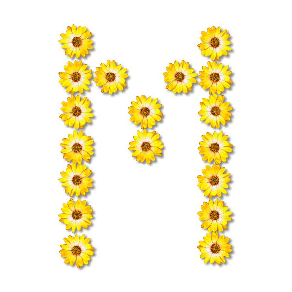 M made of sunflowers