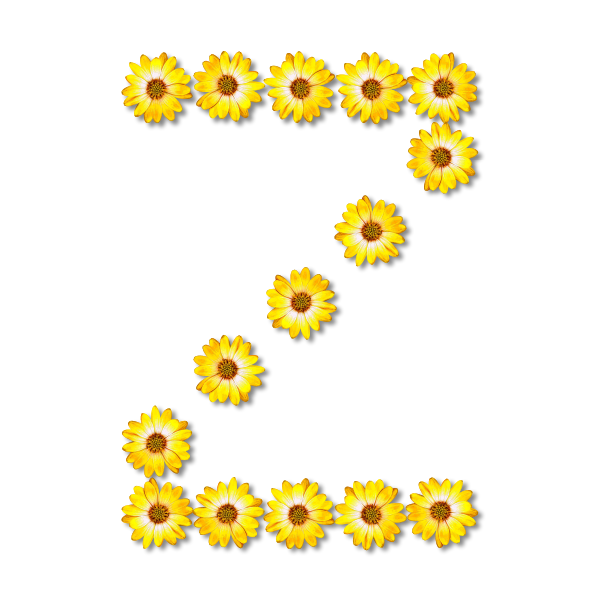 Letter Z in flowers