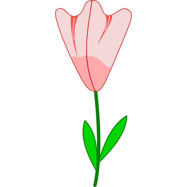 Pink flower vector image