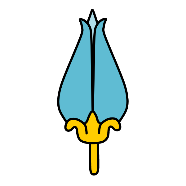 Flowers 49
