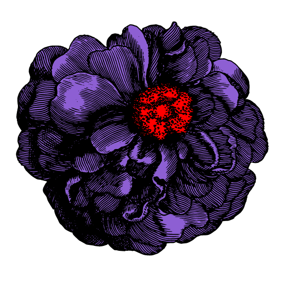 Flowers 61