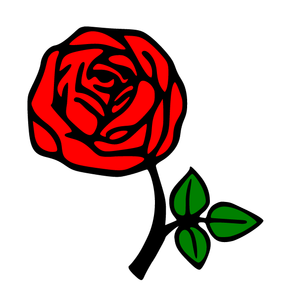 Flowers 80