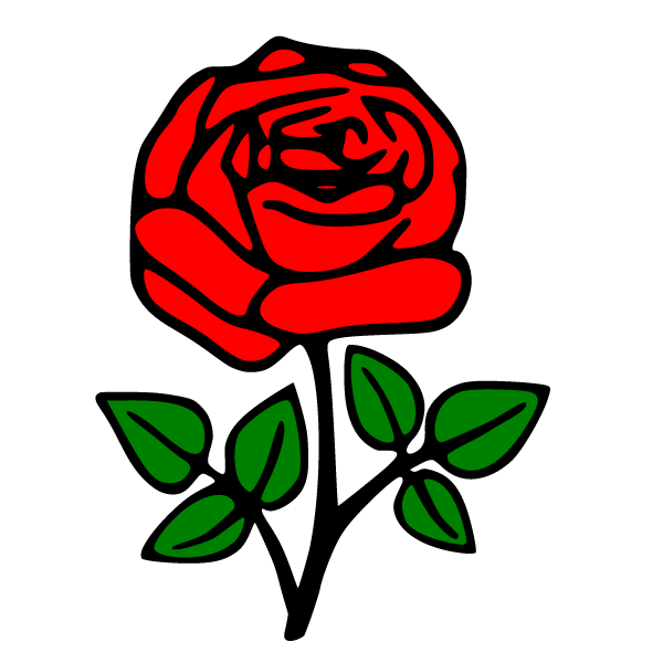 Flowers 82