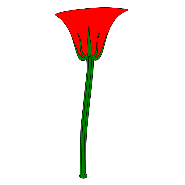 Flowers 86