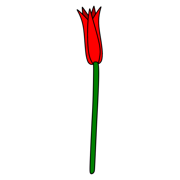 Flowers 89