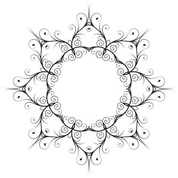 Lace frame