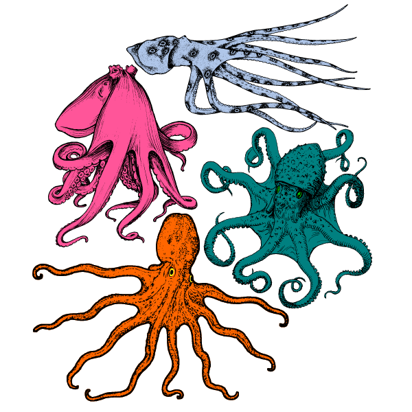 Four friendly octopuses