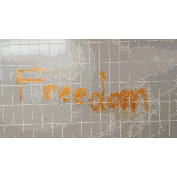 Freedom Graffiti Writing 2014110421